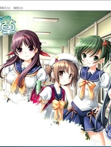 四叶草 よつのは 汉化硬盘版【509】