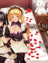 3D定制女仆2 カスタムメイド3D2中文汉化40G硬盘完美集成版【402】