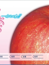 加奈…欢迎回来!! 加奈…おかえり！！ 汉化硬盘版【454】